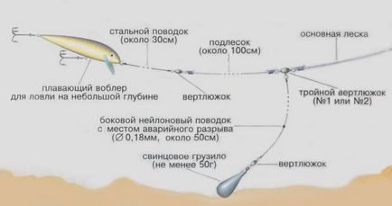 Ловля щуки восени на спінінг