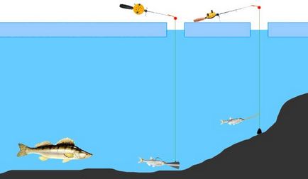 Ловля судака на тюльку рибалка на судака на Волзі на мормишку з тюлькою