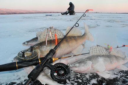 Prindeți o pișetă în iarna pe un tulk pe un echipament de pescuit, pe мормышку, pe drop-shot, sfaturi privind plantarea