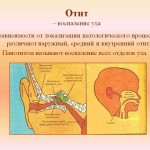 Cele mai bune remedii folk pentru prostatita la bărbați - cum să tratăm corect