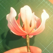 Magnolia din rețetă mastică pas cu pas cu fotografii