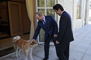 Маловідомі факти про Смелае путини і список його заслуг