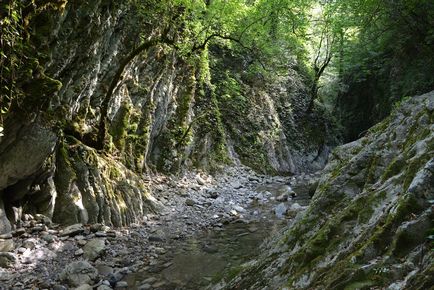 Mamedov hasíték weboldalán Turizmus és utazás