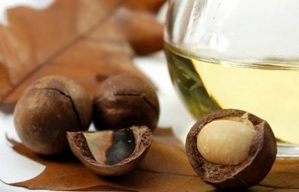 Macadamia olaj tulajdonságai és alkalmazások az arc és a test (alkalmazás) Macadamia olaj tulajdonságait és alkalmazásokat az arc és a test