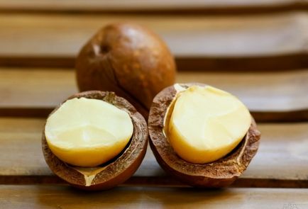 Macadamia olaj tulajdonságai és alkalmazások az arc és a test (tulajdonságok) Macadamia olaj tulajdonságait és alkalmazásokat az arc és a test