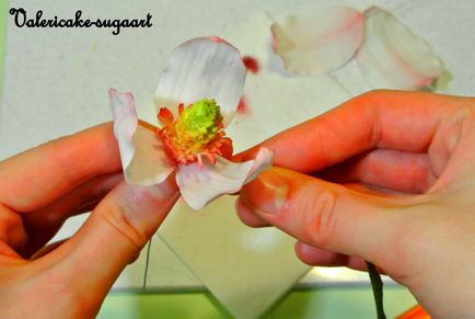 Master class - magnolia de zahăr - idei și informații utile