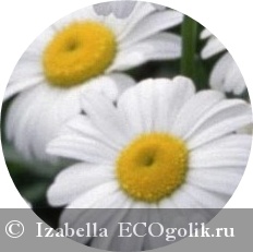 Body Milk Lavender MYCO - felülvizsgálata ekoblogera Izabella