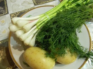 Молода картопля в сметані з кропом