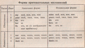 Morfologia ca secțiune de gramatică - lingvistică, filologie