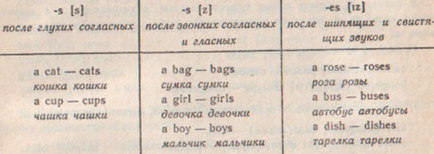 Morfologia ca secțiune de gramatică - lingvistică, filologie