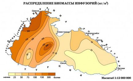 Mările din Rusia sunt Marea Neagră