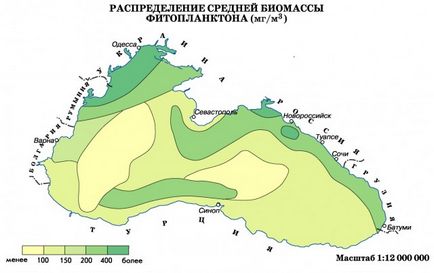 Mările din Rusia sunt Marea Neagră