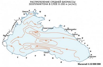 Mările din Rusia sunt Marea Neagră