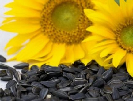 Este posibil să se mănânce semințe de floarea soarelui cu colesterol ridicat și cât de mult colesterol din semințele de floarea-soarelui?