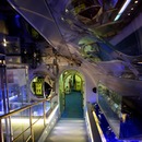 Museum tengeralattjáró (víz alatti) Múzeum Submarine