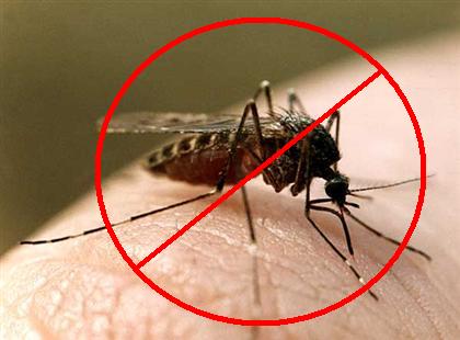 Remedii populare pentru țânțarii
