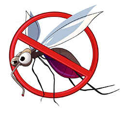 Remedii populare pentru mușcăturile de țânțari