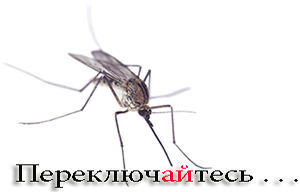 Народні засоби від укусів комарів