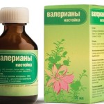 Tinctura de instrucțiuni de utilizare pentru Echinacea, cum să luați copii