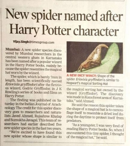 Новий вид павуків назвали на честь персонажа з Гаррі Поттера (3 фото)
