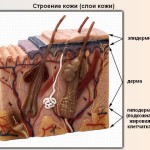 Curățați fața la domiciliu, femei de afaceri și de frumusețe