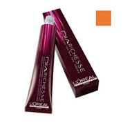 Hivatalos kozmetikumok Loreal profi dia Richesse (szakmai) Hivatalos kozmetikumok Loreal profi dia Richesse