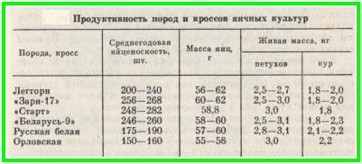 Основні породи курей