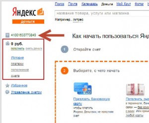 Deschideți geanta de bani Yandex