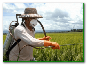 Otrare prin pesticide, primele simptome, tratament și ajutor