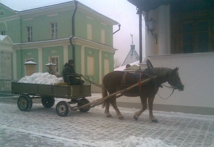 Spumă de argilă