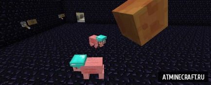 Pig companion mod