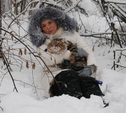 Căsătoria pisicilor din Siberia - zaimka