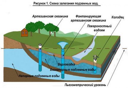 Пошук води на ділянці для колодязя за допомогою рамки, лози та приладом