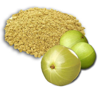 Pulbere - Amla - (amla pulbere) 100 g, indibird, catalog de produse