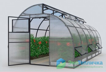 Plantarea căpșunilor într-o seră - tehnologie rusă și olandeză