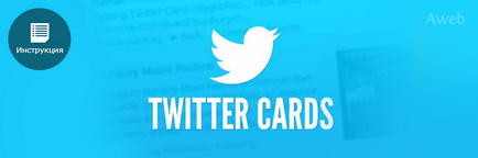 Instrucțiuni pas cu pas pentru instalarea și configurarea cardurilor twitter