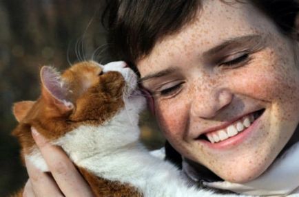 A viselkedés a macskák 15 állat jelek a szeretet az ember