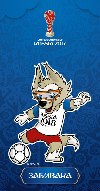 Reguli de conduită pentru spectatori, Cupa Mondială FIFA 2018 în Rusia ™, oraș-organizator