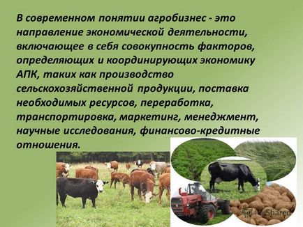 Презентація на тему агробізнес в сучасному понятті агробізнес - це напрямок економічної