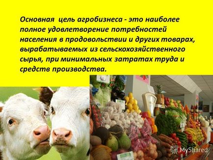 Prezentarea privind agrobusiness-ul în conceptul modern de agribusiness este direcția economică