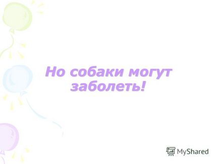 Презентація на тему як доглядати за собаками утримання собак в квартирі для собак відводять