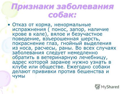 Презентація на тему як доглядати за собаками утримання собак в квартирі для собак відводять