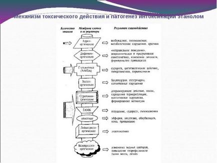 Презентація на тему - коми при інтоксикаціях - завантажити презентації з медицини 1