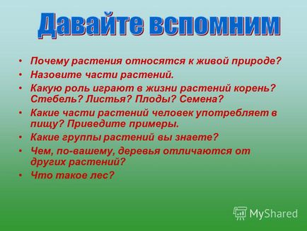 Презентація на тему чому рослини відносяться до живої природи назвіть частини рослин