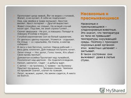 Презентація на тему зимова пора в житті тварин як зимують звірі де і як зимують комахи і