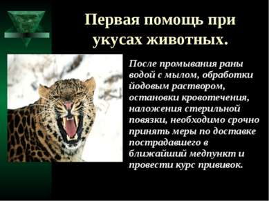 Презентація - перша допомога при укусах тварин - завантажити безкоштовно