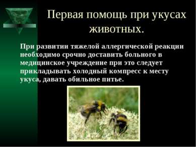 Презентація - перша допомога при укусах тварин - завантажити безкоштовно