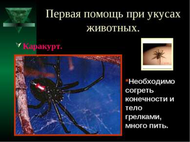 Презентація - перша допомога при укусах тварин - завантажити безкоштовно
