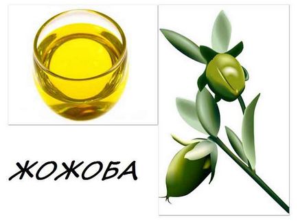 Uleiul de jojoba în îngrijirea facială