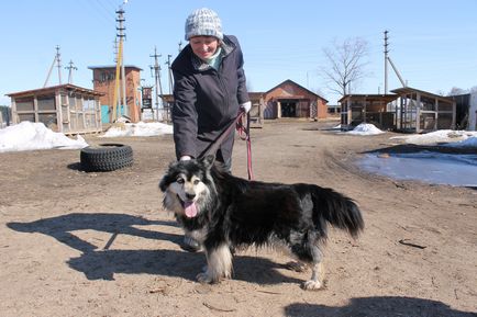 Adăpost pentru câini Arca în Yaroslavl este animale săraci pot muri, știri de Yaroslavl